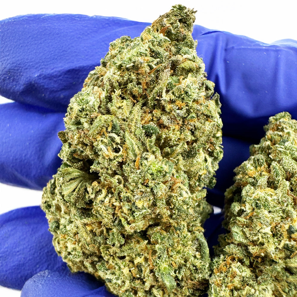 Cookies Cake - Indoor