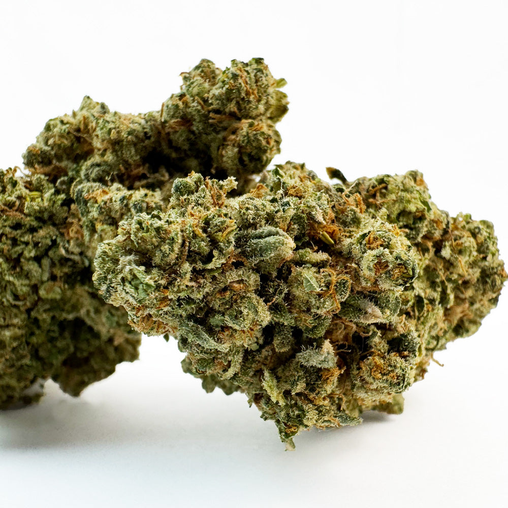 Creamy Deluxe - Indoor Elite USA — photo 2