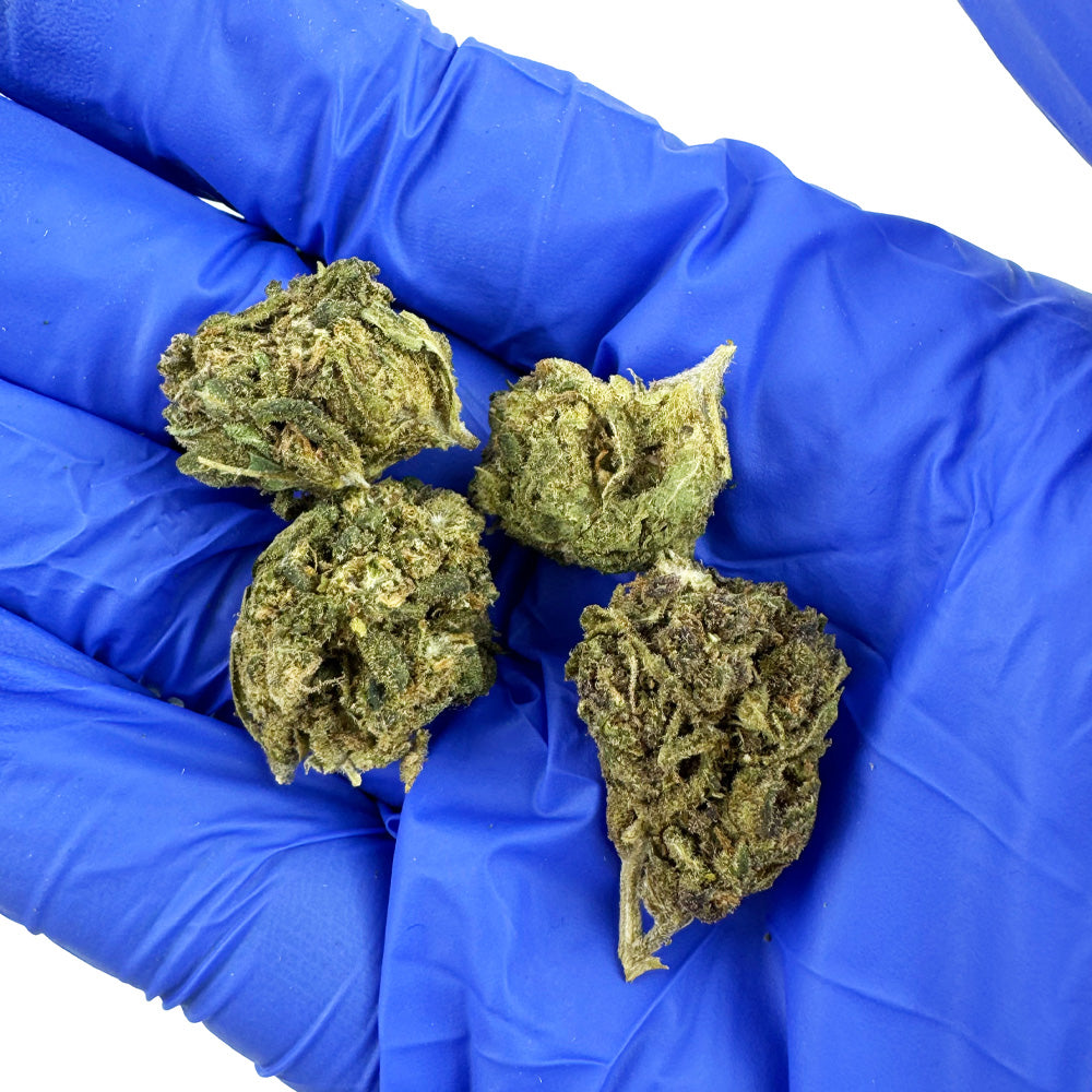Small buds Lemon Haze - Greenhouse — photo 3