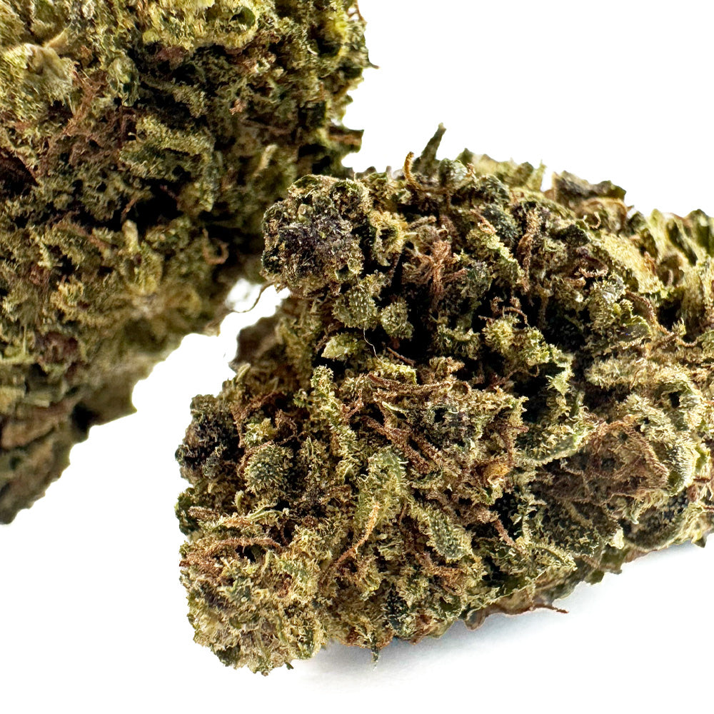 Lemon OG - Hybride USA — photo 2
