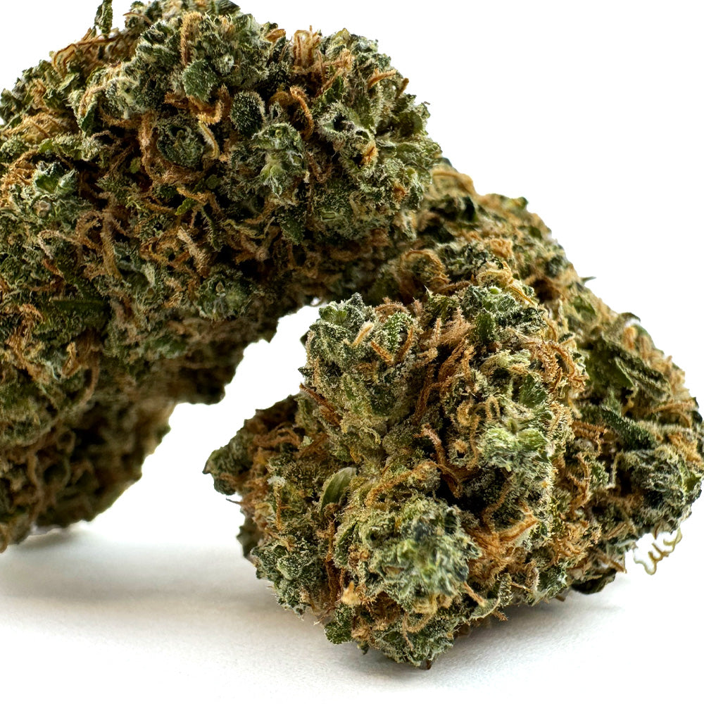 Blueberry Muffin CBD - Indoor — photo 3