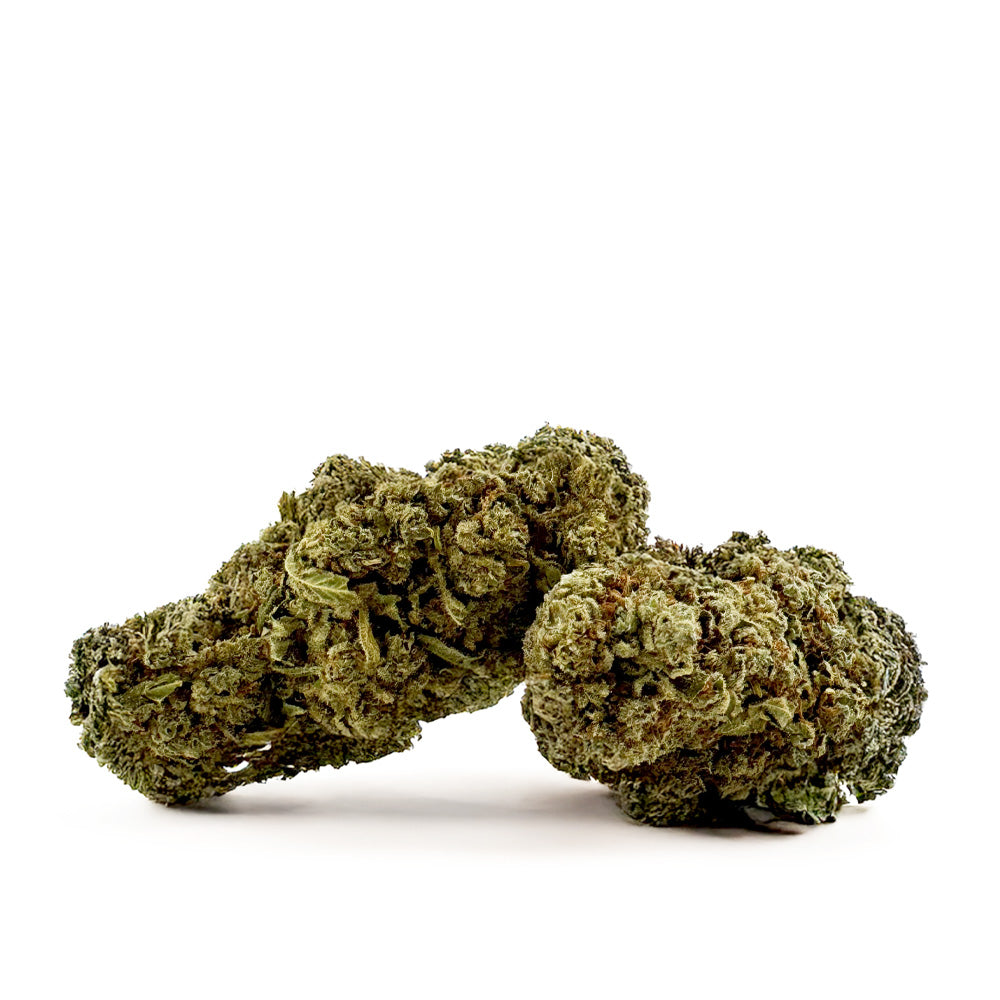Citrus OG - Indoor — photo 1