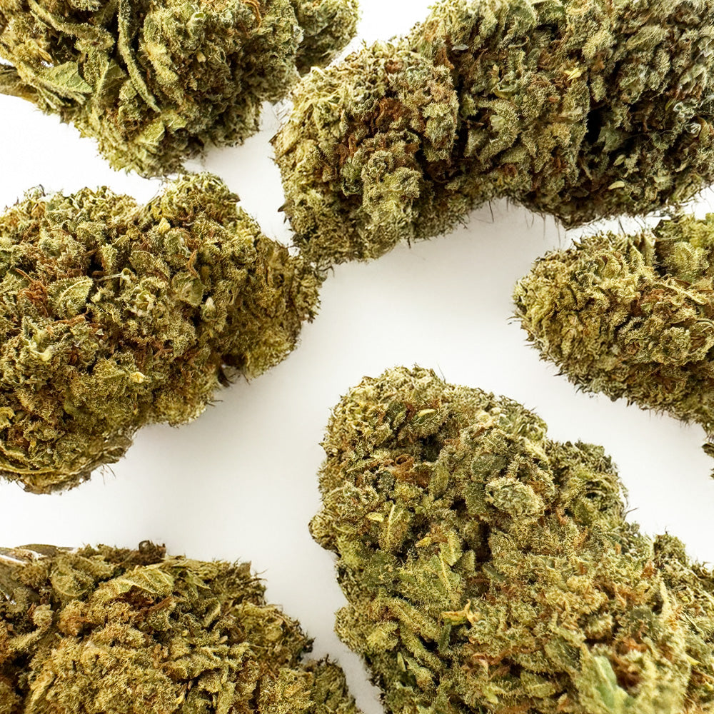 Citrus OG - Indoor — photo 3