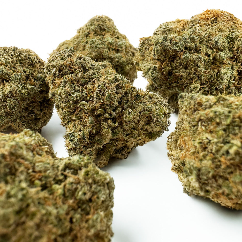 Limon Cali CBD - Hydroponique Cali
