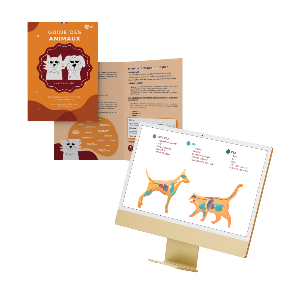 Huile de CBD Chien & Chat