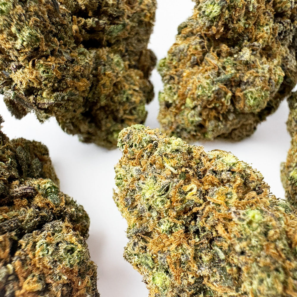 Purple Gaz CBD - Indoor
