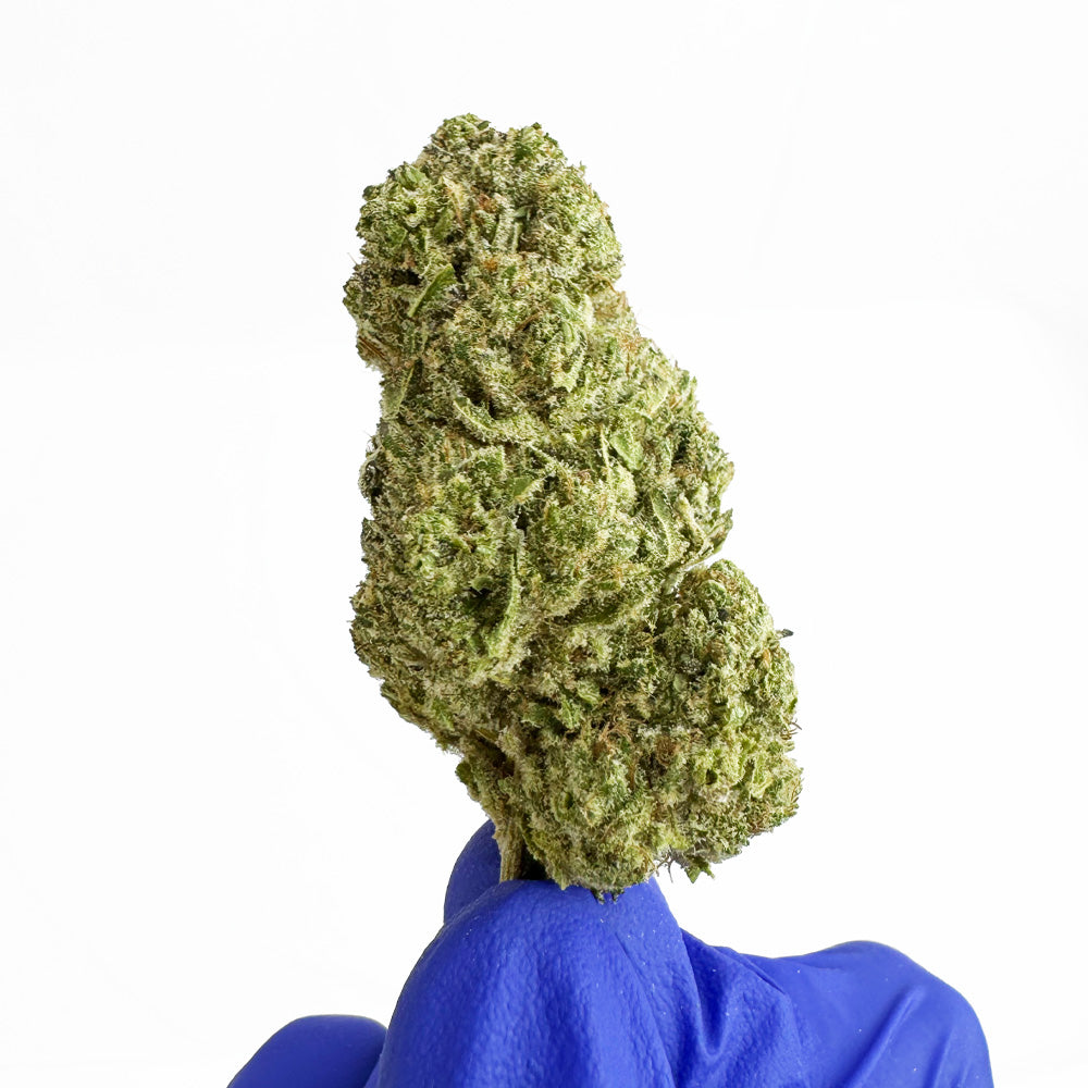 Zoap CBD - Indoor — photo 4
