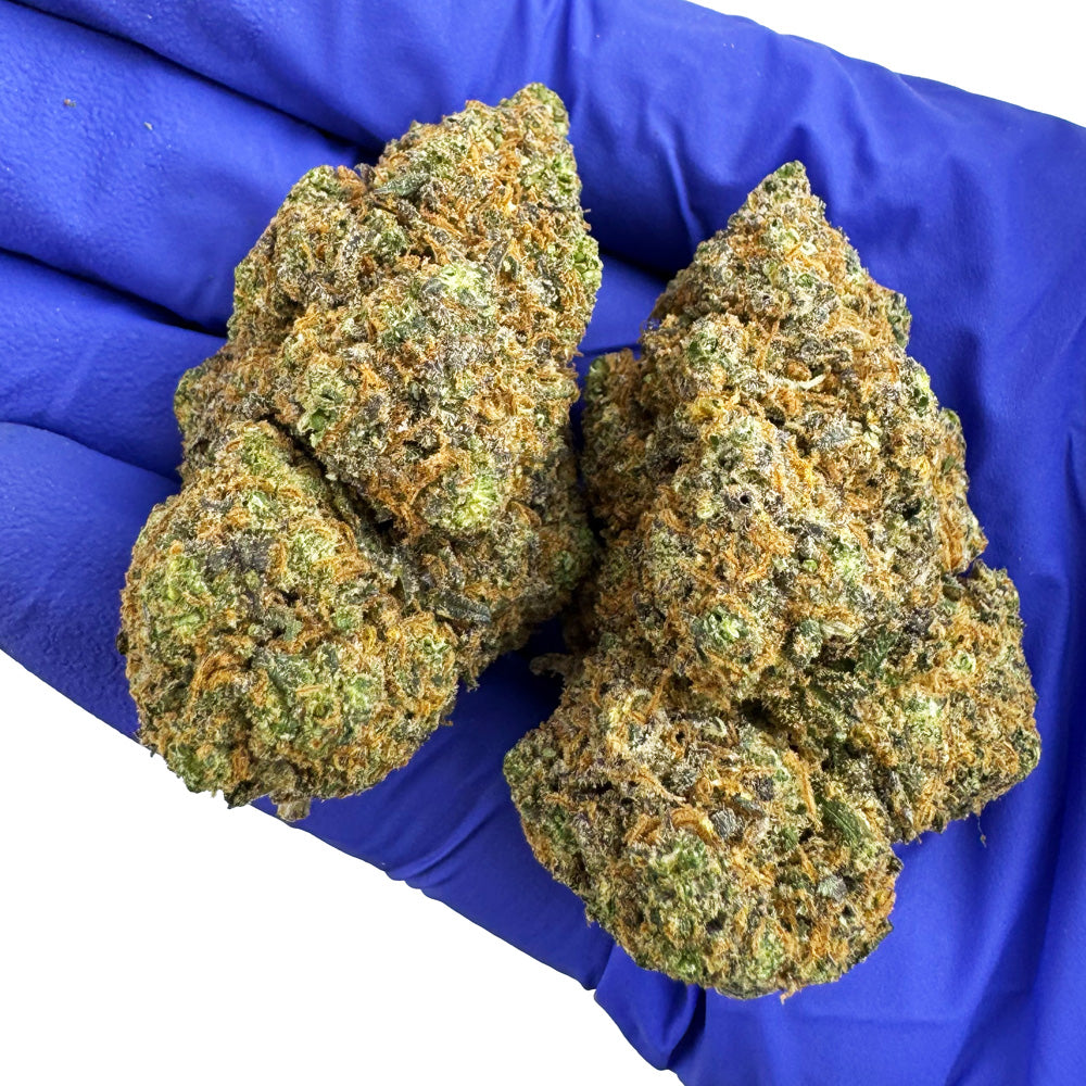 Obtenir une licence pour produire légalement du CBD en France : le guide complet