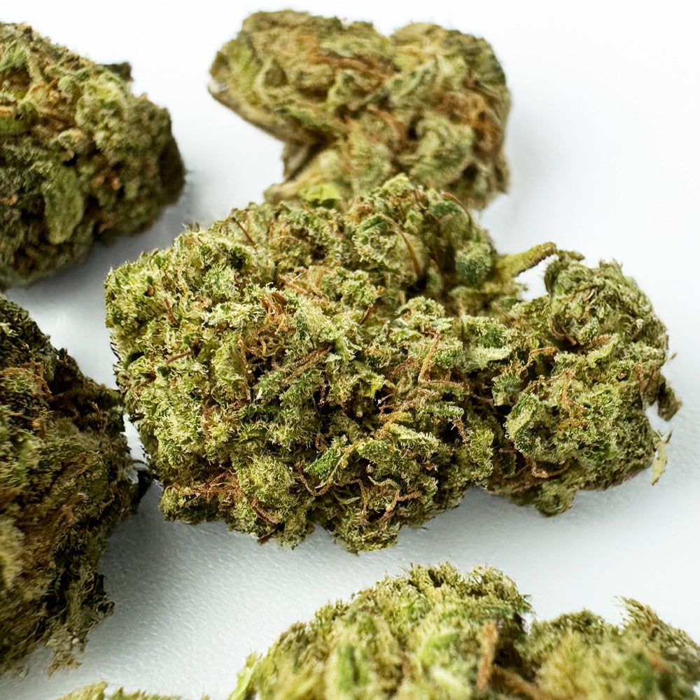 Small buds Amnesia Core Cut - Hybride