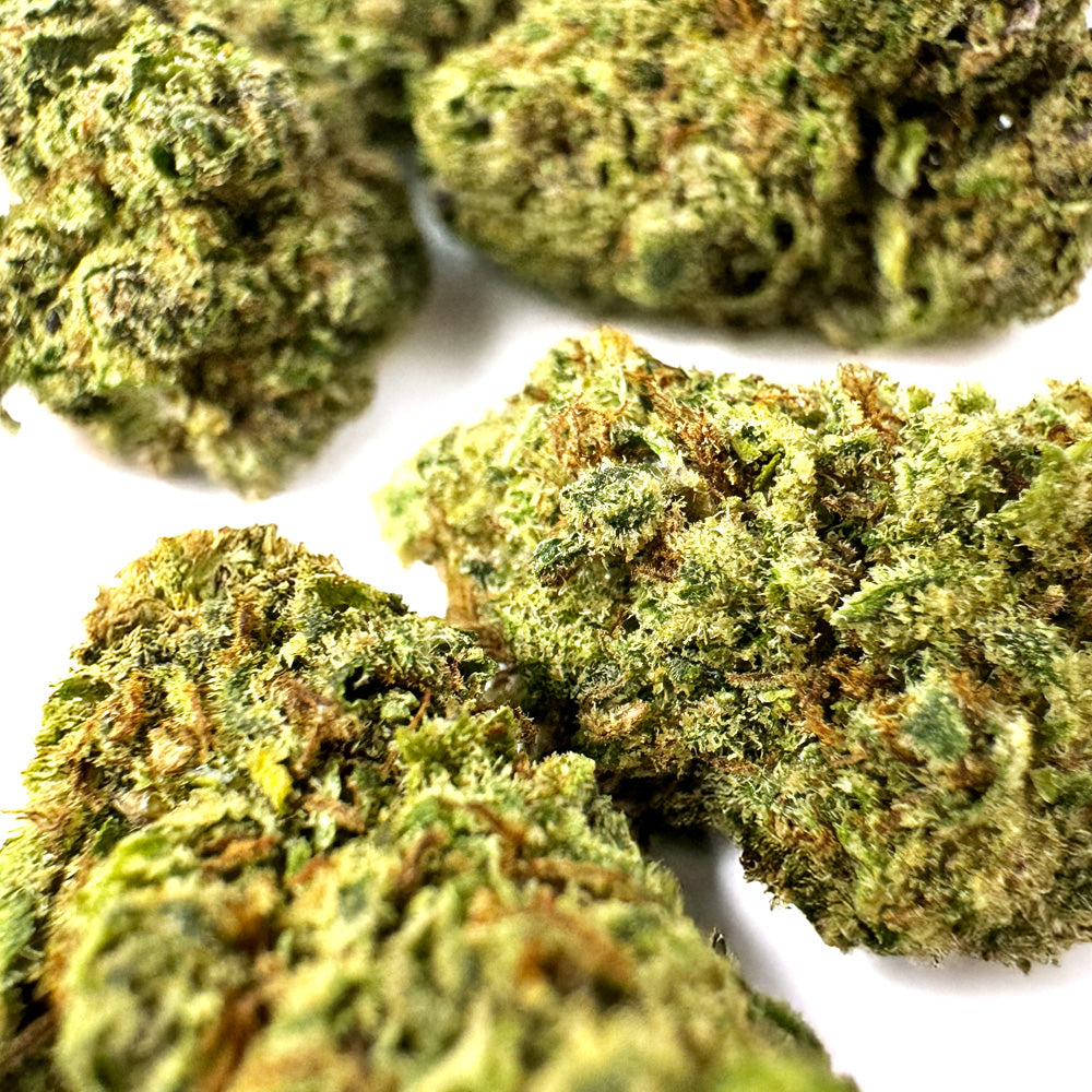 Small buds Apple Pie - Indoor