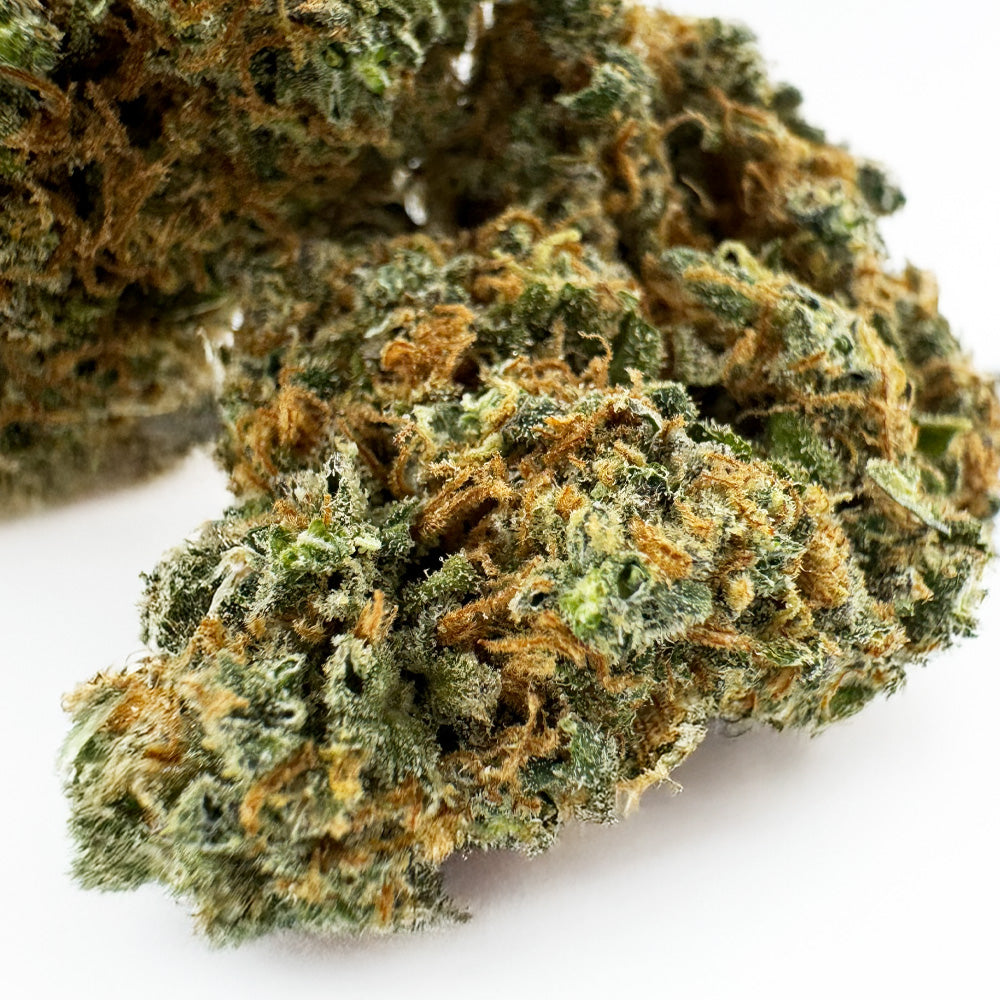 Blueberry Muffin CBD - Indoor