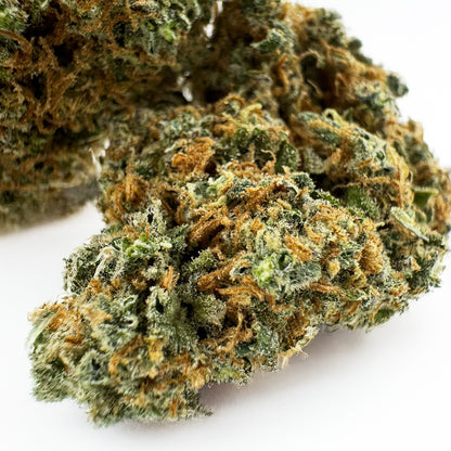 Blueberry Muffin CBD - Indoor