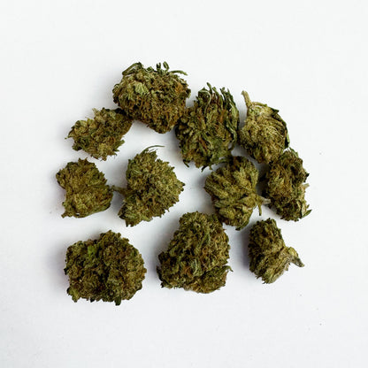 Small buds Critical Berry - Hybride