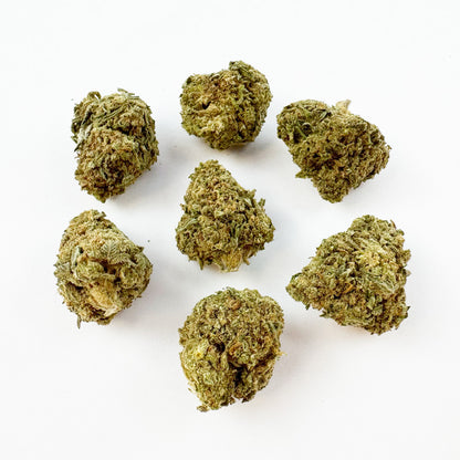 Medium buds GP3 B2 - Indoor — photo 1