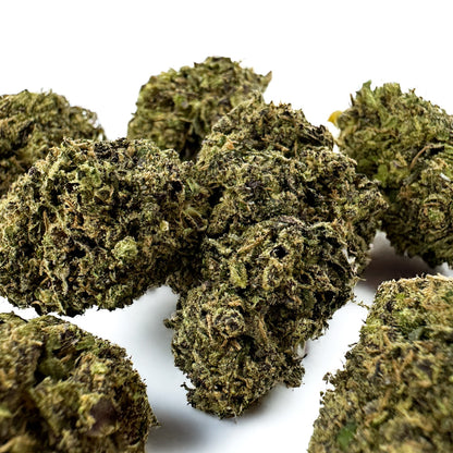 Gelato #41 - Indoor USA