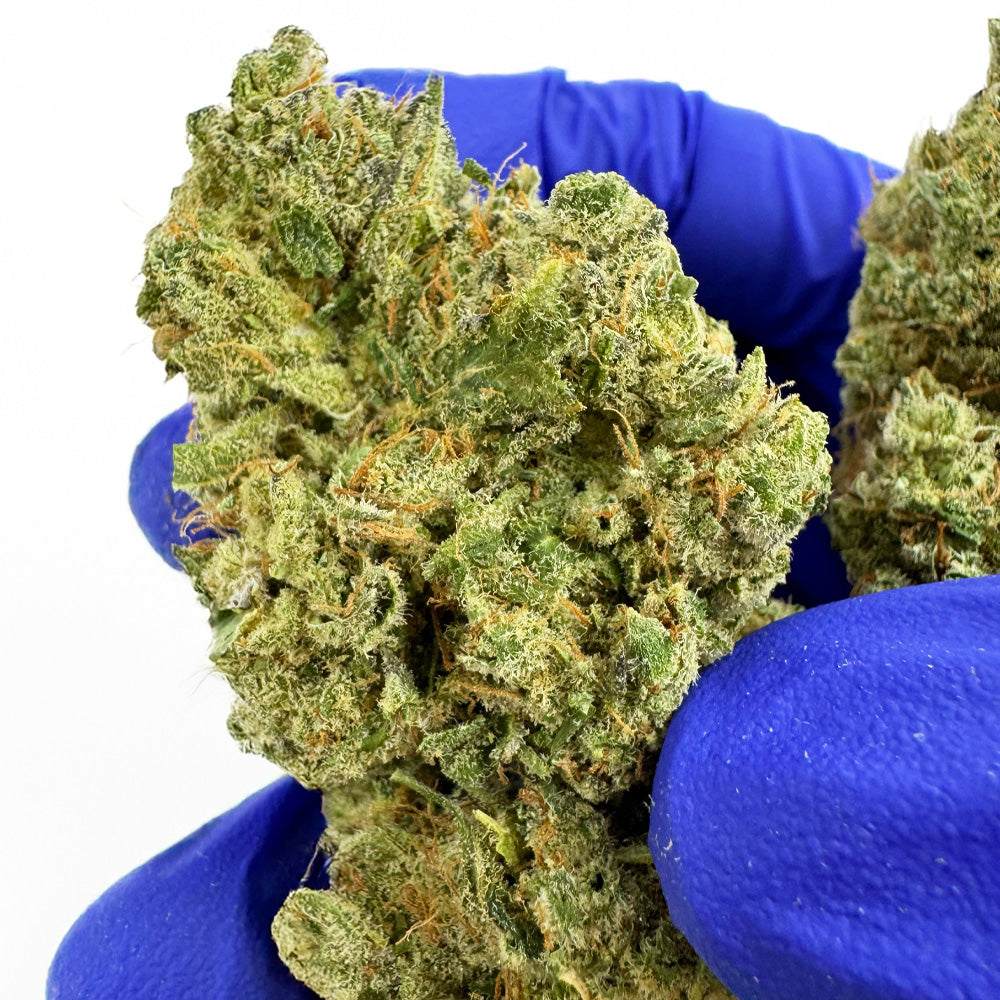 Gushers CBD - Indoor