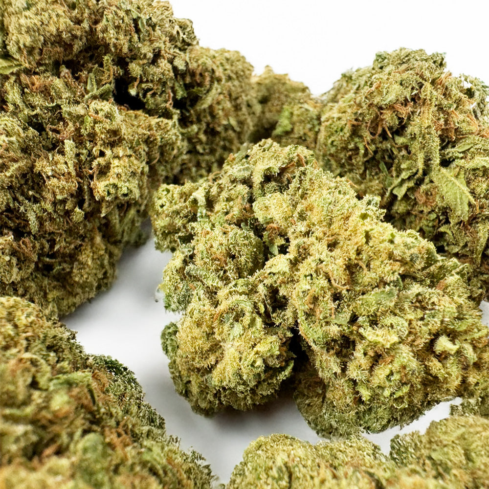 Harley Queen - Glasshouse