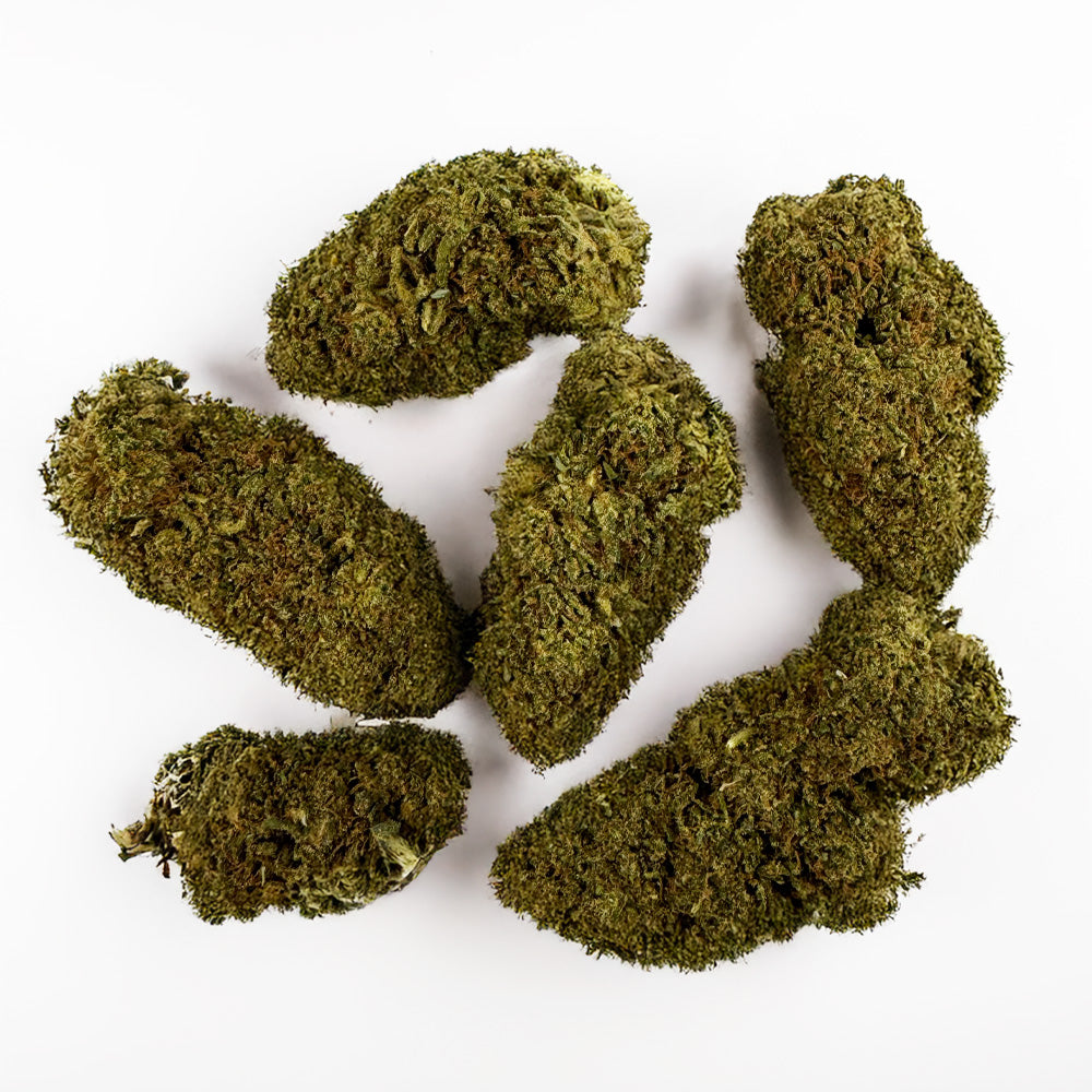 Juicy - Hybride USA