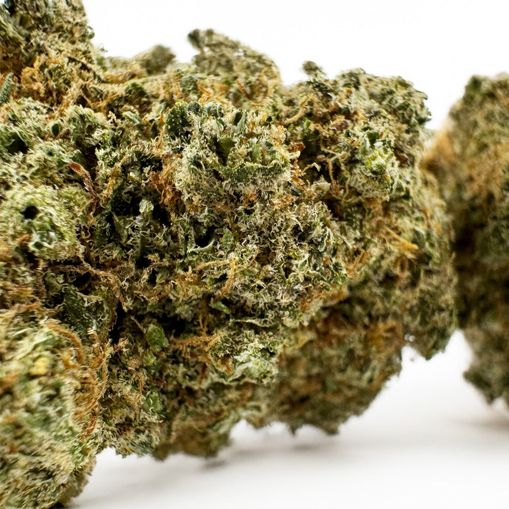 Limon Cali CBD - Hydroponique Cali