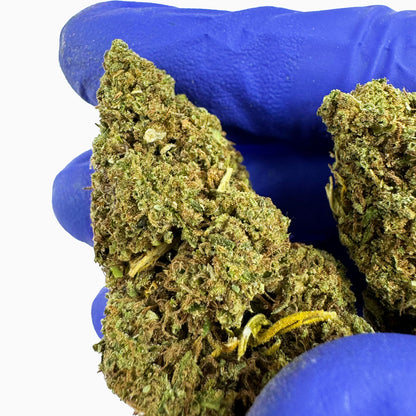 Lemon Tonic - Glasshouse