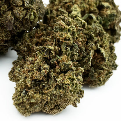 OG Kush - Hybride USA