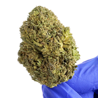 OG Kush - Hybride USA