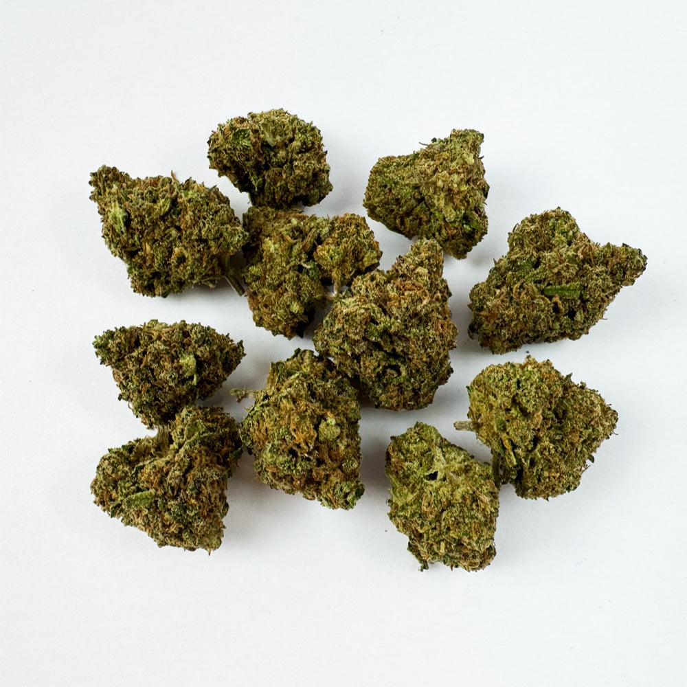 Small buds Sunset Sherbet - Indoor