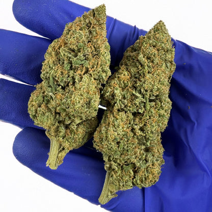 Wedding Cake HQxCT CBD - Indoor