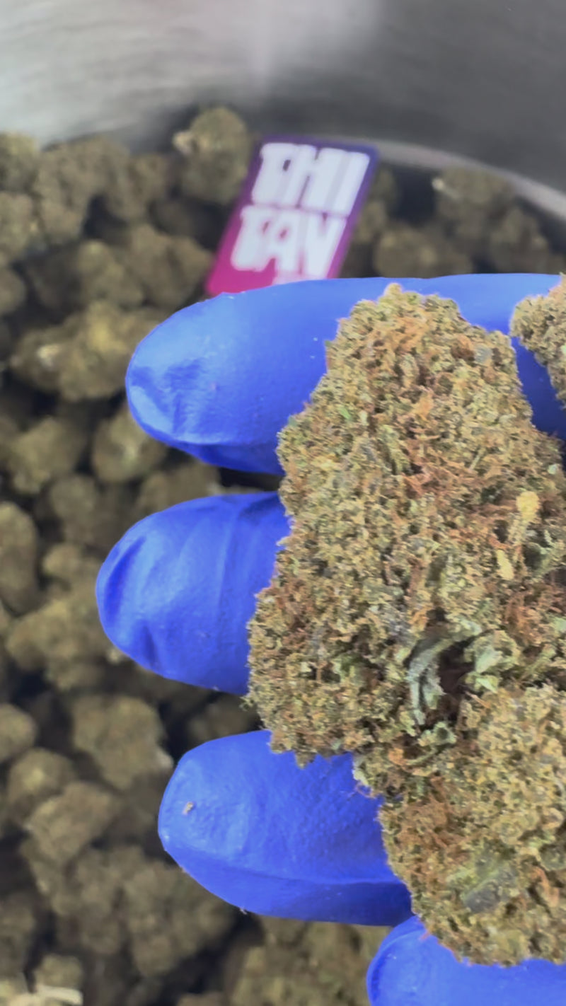 Royal OG - Hybride USA — vidéo de présentation