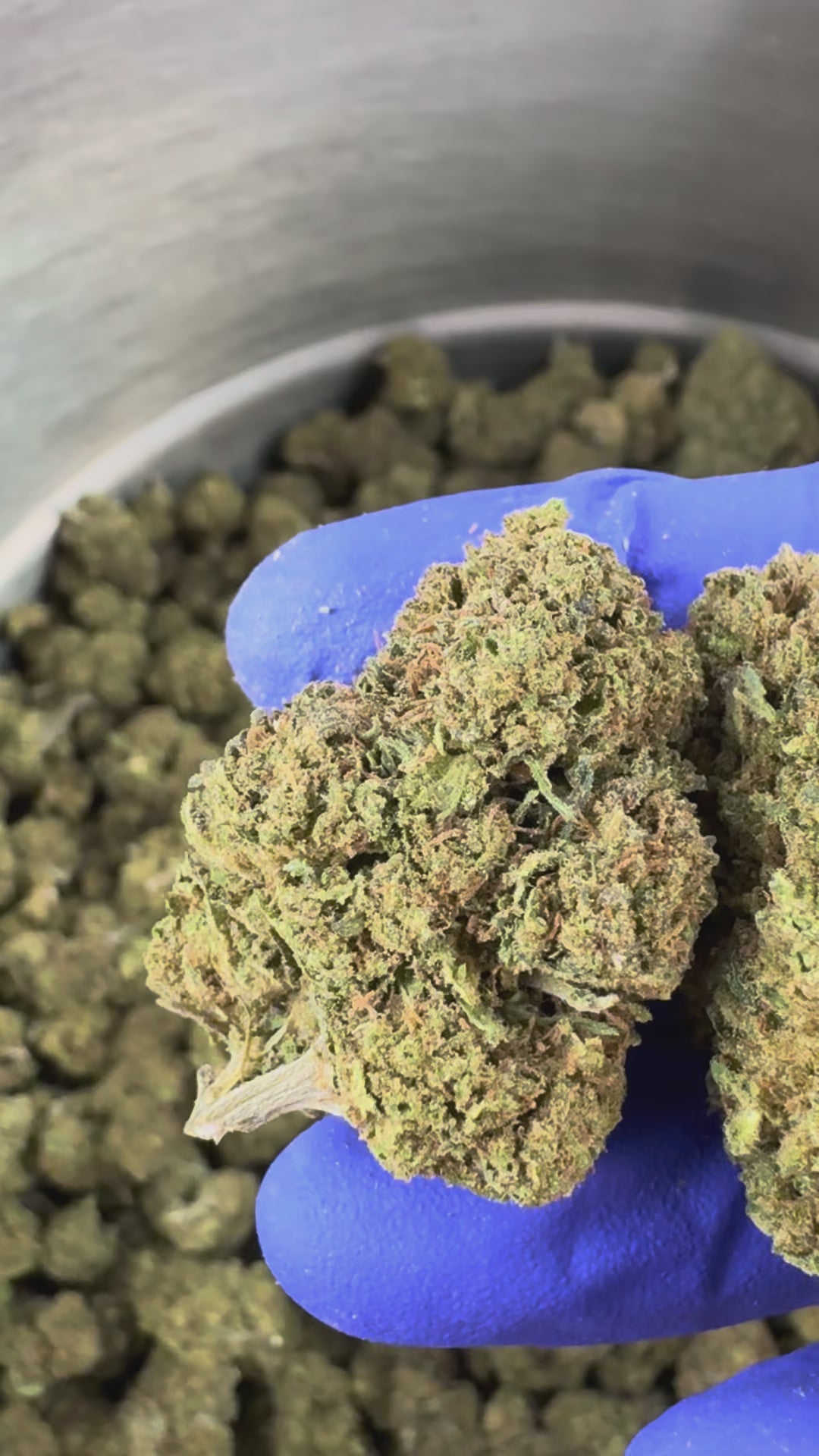 Charger la vidéo: Vidéo de présentation du Ice-O-Lator 40% CBD