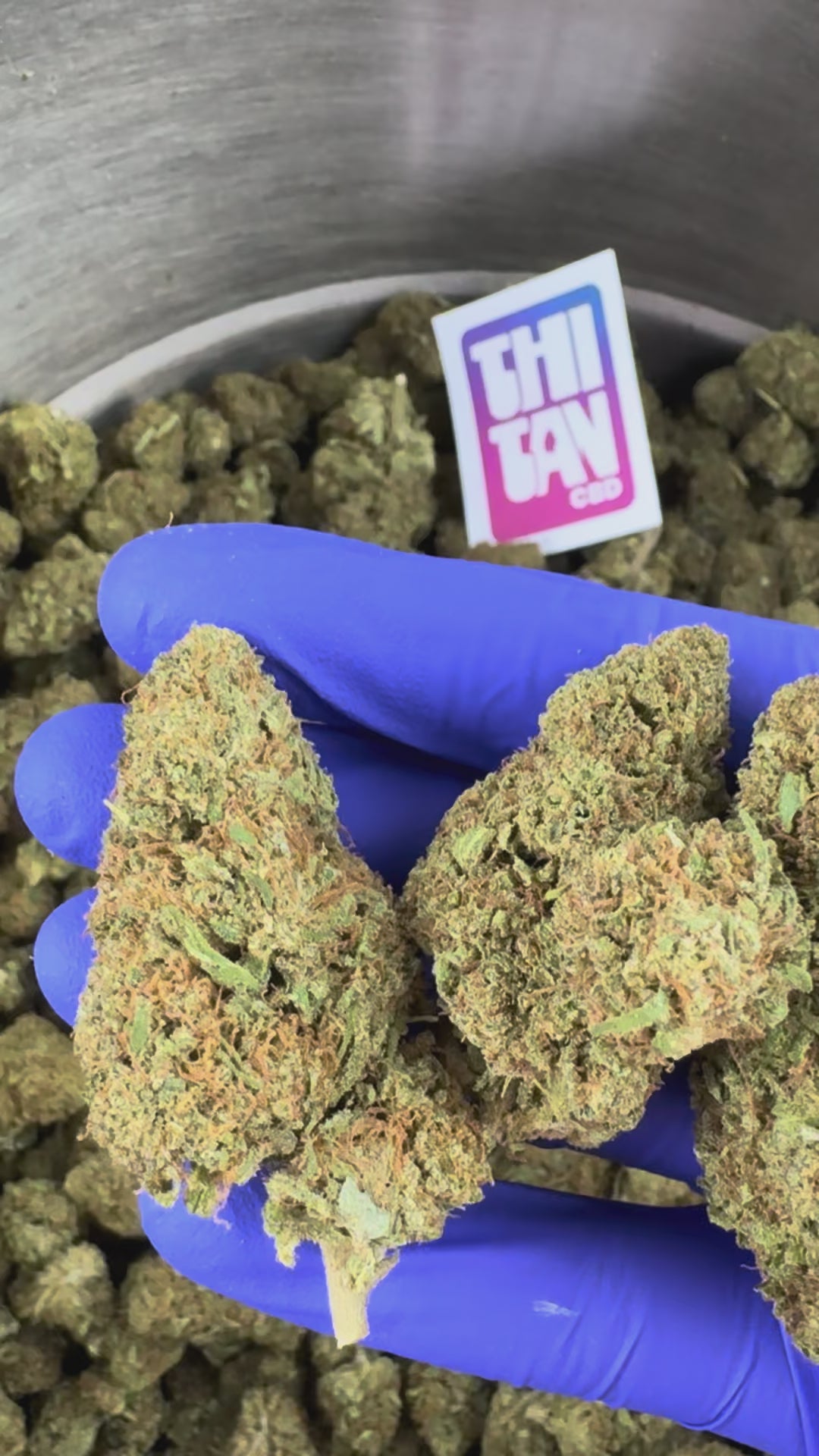 Charger la vidéo: Vidéo de présentation du Ice-O-Lator 40% CBD