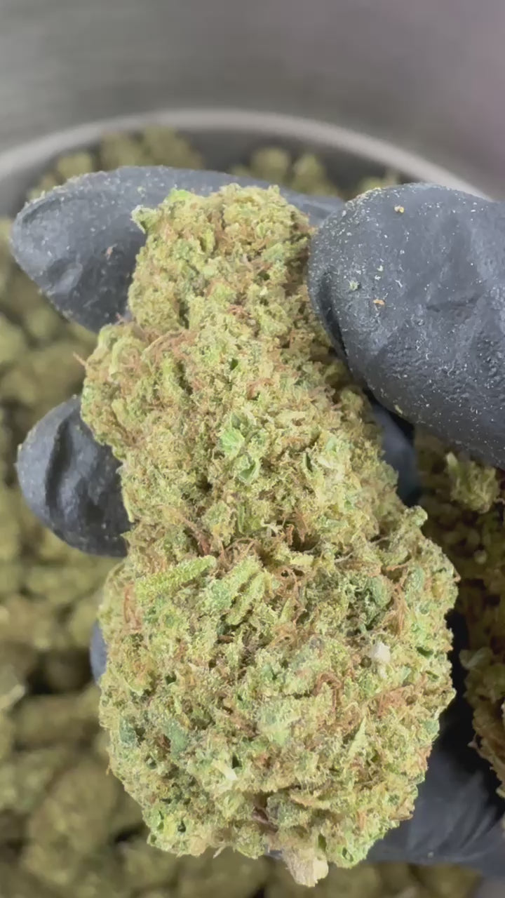 Charger la vidéo: Vidéo de présentation de l'Amnesia Core Cut Hybride CBD